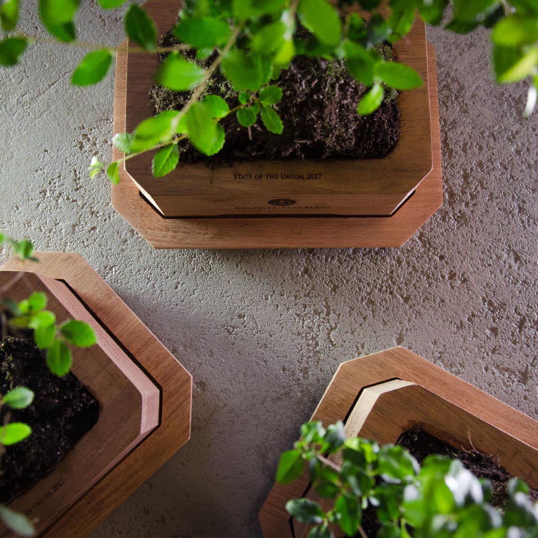 Marantihouten bonsaibak relatiegeschenk met personaliseerbare lasergravure, bonsai-boom inbegrepen