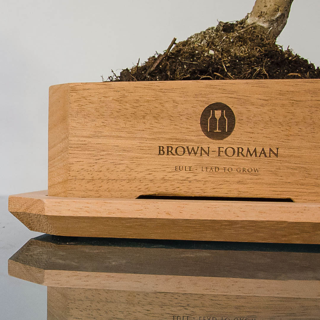 Personalisbare marantihouten bonsaibak met lasergravure als relatiegeschenk, inclusief bonsai-boom