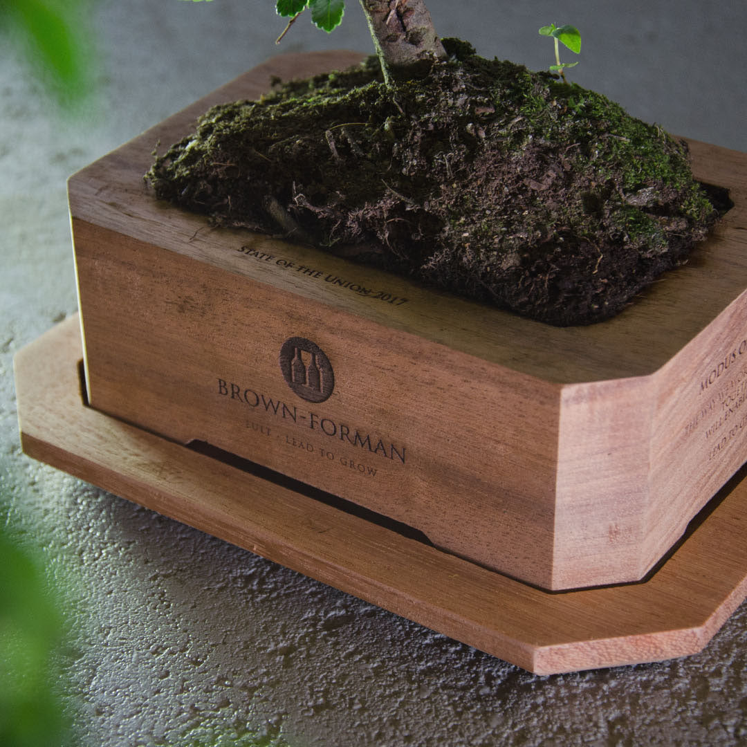Detail van marantihouten bonsaibak met personaliseerbare gravure – bonsai-relatiegeschenk